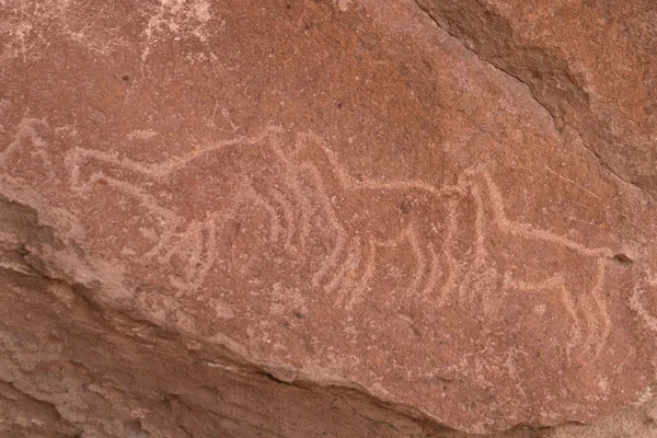 Pétroglyphes dans le désert d'Atacama au Chili — Photo