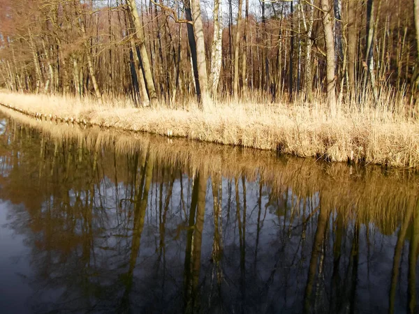 Beautiful Landscape Havel — Stock Photo, Image