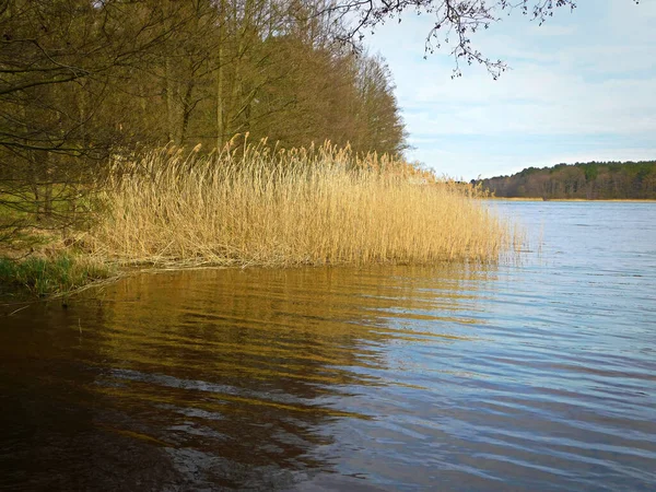 Het Prachtige Rddelin Meer Het Uckermark — Stockfoto