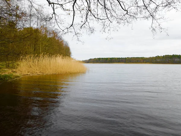 Hermoso Lago Rddelin Uckermark —  Fotos de Stock