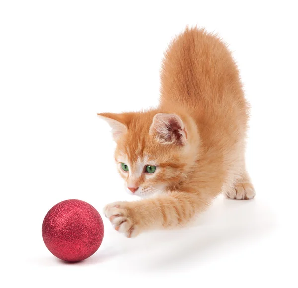 Lindo gatito naranja jugando con un ornamento de Navidad en blanco Imagen De Stock