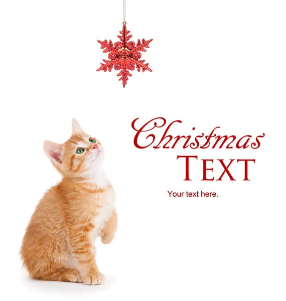 Lindo gatito naranja jugando con un ornamento de Navidad en blanco Fotos De Stock Sin Royalties Gratis