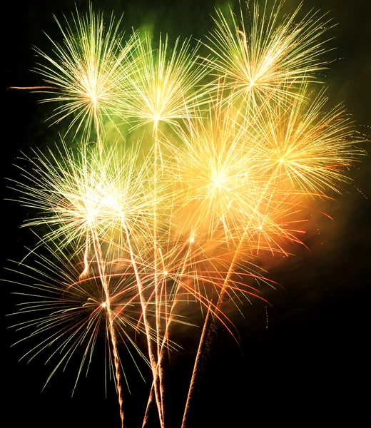 Feuerwerk — Stockfoto