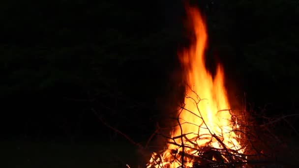 Lagerfeuer in der Nacht — Stockvideo