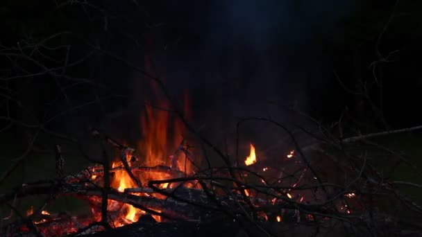 Bonfire at night — Stock Video