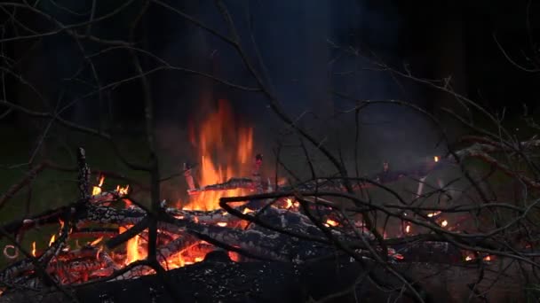 Foc de tabără noaptea — Videoclip de stoc