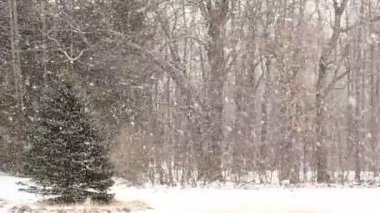 büyük kar taneleri ile yoğun kar yağışı.