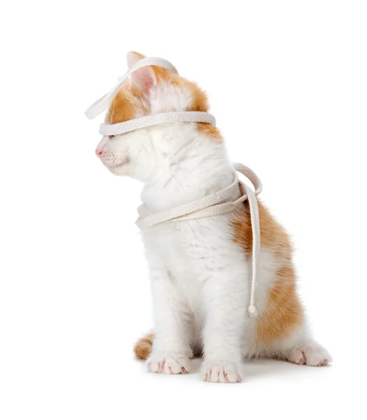 Cute orange and white kitten playing on a white background. — Stock Photo, Image