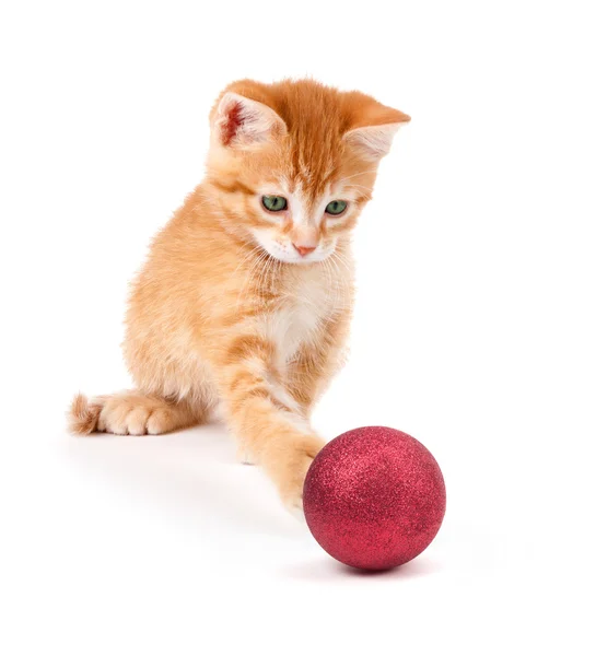 Carino arancione gattino giocare con un ornamento di Natale su bianco — Foto Stock