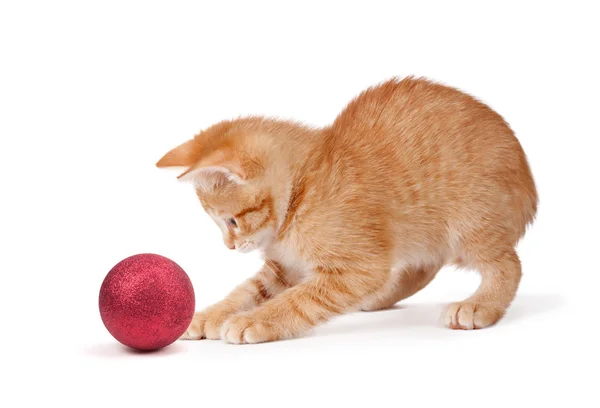 Niedliches orangefarbenes Kätzchen spielt mit einem Weihnachtsschmuck auf weißem Grund — Stockfoto