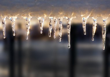 aşırı bir buz fırtınası sonra güzel buz sarkıtları.