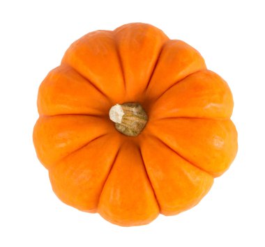 Mini Orange Pumpkin Isolated on White clipart