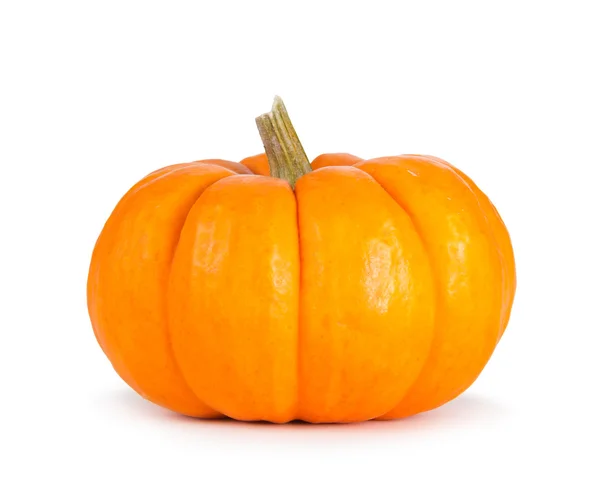 Mini Orange Pumpkin Isolated on White Royalty Free Stock Images