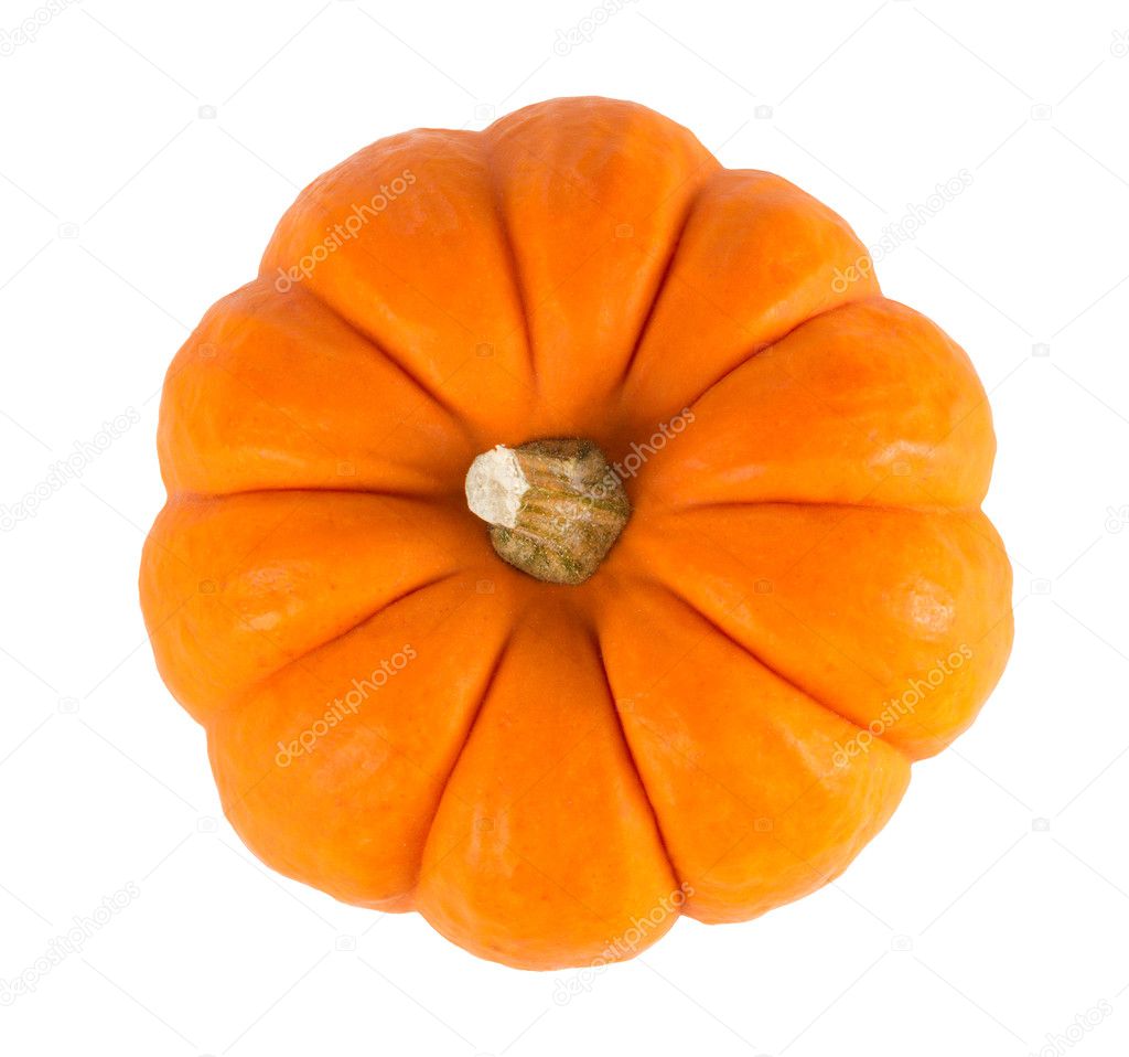 Mini Orange Pumpkin Isolated on White