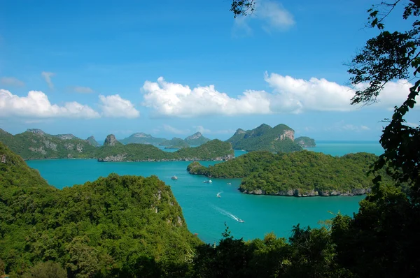 bir grup Denizi Adaları