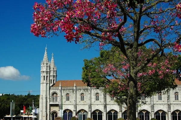 Lizbon, Portekiz: bloomig ağacının yanında hieronymites Manastırı