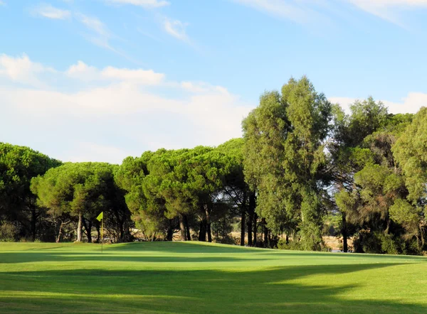 Golf Sahası