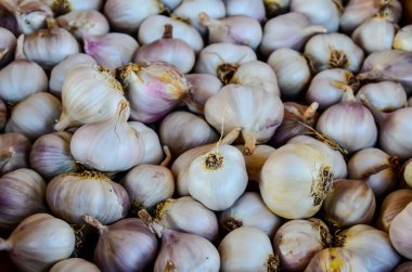 sarımsak bir pazar yeri olarak grubu
