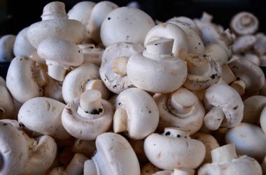 Beyaz mushooms grubu