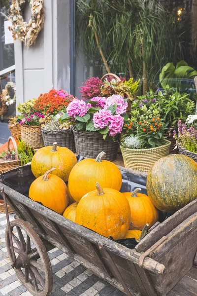 Chariot de citrouille au magasin de fleurs. Halloween et Thanksgiving décoration d'automne — Photo