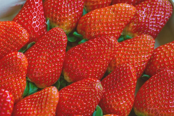 Verse geoogste aardbeien in doos, close-up — Stockfoto