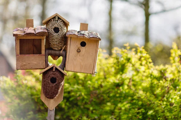 Varias pajareras y un comedero de aves en un palo . —  Fotos de Stock