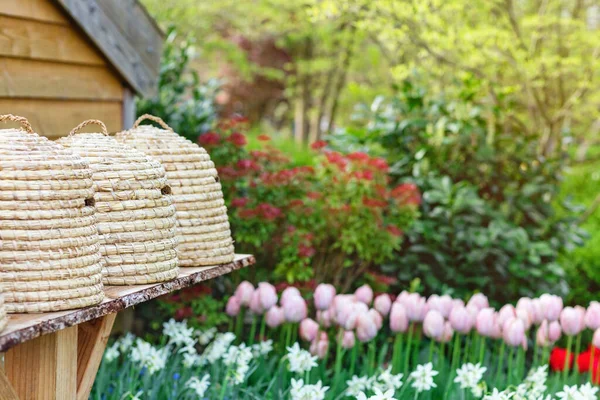 Beehives in garden with a spring flowers —  Fotos de Stock