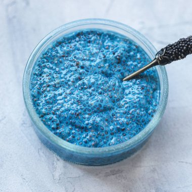 Mavi spirulina chia tohumlu puding kase. Superfood ve vegan konsepti
