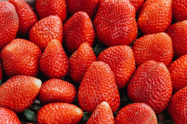 Verse rijpe geoogste aardbeien in doos, close-up — Stockfoto