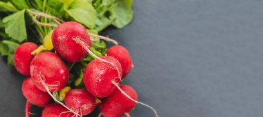 Siyah arka planda yeşil yapraklı taze, organik, olgun turp sürüsü. Banner, boşluğu kopyala