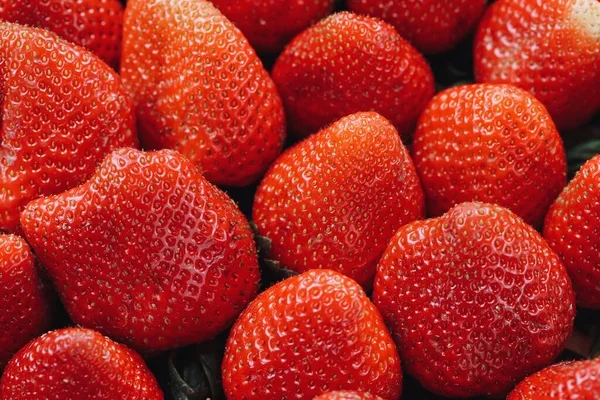 Vers Geoogste Aardbeien Een Kartonnen Doos Concept Van Lente Fruit — Stockfoto