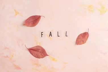 Word FALL and red fall leaves on pink background. Autumn layout. Copy space, fall concept