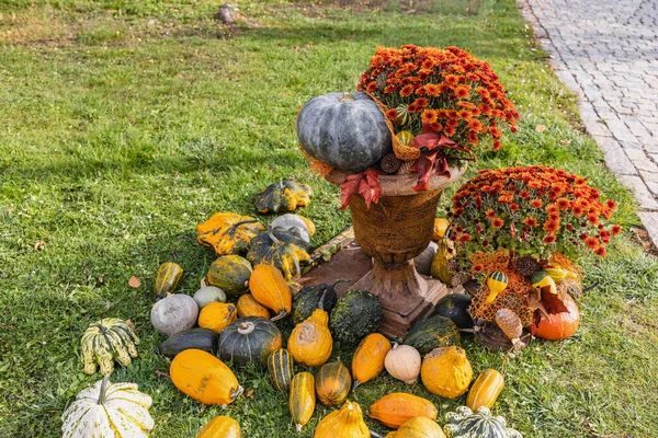 Pumpkins Halloween garden decoration and fall chrysanthemum flowers in vintage stylish flower pots. Halloween and Thanksgiving natural DIY decoration for home and celebration concept. Selective focus