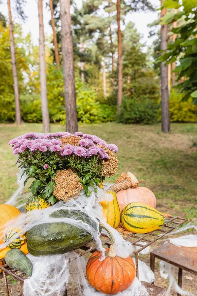 Pumpkins Halloween garden decoration with autumn chrysanthemum flowers, cobweb and pine cones. Selective focus. Halloween and Thanksgiving natural DIY decoration for home and celebration concept