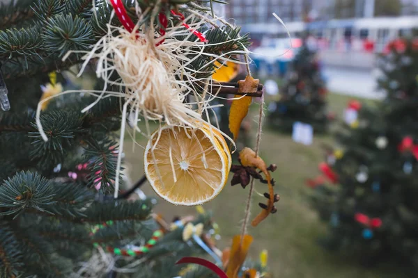 圣诞树上的柠檬片和圣诞调味品做的天然装饰 阴郁的圣诞装饰 再循环 再利用和零废物概念 有选择的重点 — 图库照片