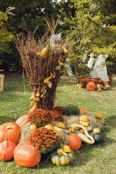 Pumpkins Halloween garden decor with autumn chrysanthemum flowers. Halloween and Thanksgiving natural DIY outdoor decoration for home and celebration concept