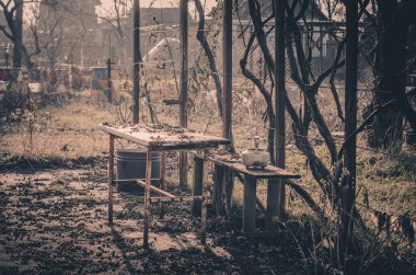 Ağaçları olan terk edilmiş bir kulübenin dış görünüşü.