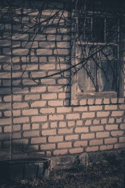 Ağaçları olan terk edilmiş bir kulübenin dış görünüşü.