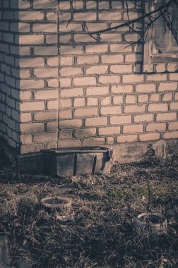 Ağaçları olan terk edilmiş bir kulübenin dış görünüşü.