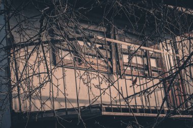 Ağaçları olan terk edilmiş bir kulübenin dış görünüşü.