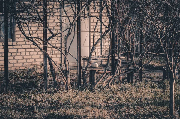 Buitenaanzicht Van Een Verlaten Huisje Met Bomen — Stockfoto