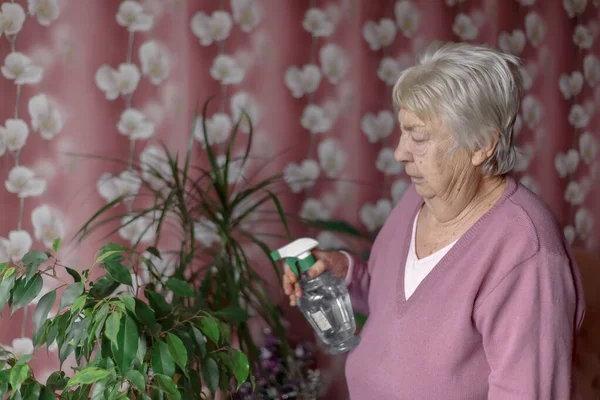 Büyükannem Çiçekleriyle Evde Ilgilenir — Stok fotoğraf