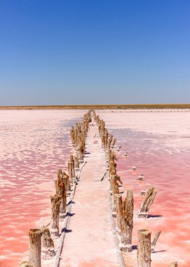Eşsiz, nadir bir doğa olayı. Pembe yosunlu tuz gölü. Güzel manzara.