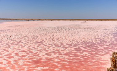Eşsiz, nadir bir doğa olayı. Pembe yosunlu tuz gölü. Güzel manzara.