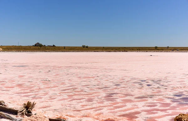 Eşsiz, nadir bir doğa olayı. Pembe yosunlu tuz gölü. Güzel manzara.