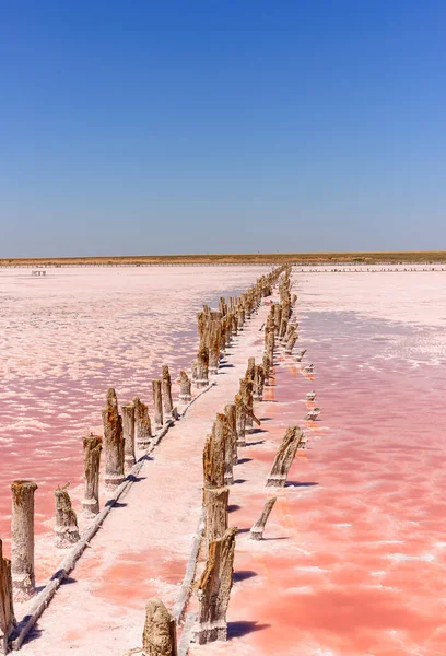 Eşsiz, nadir bir doğa olayı. Pembe yosunlu tuz gölü. Güzel manzara.