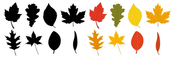 Набор Осенних Листьев Силуэт Цветной — стоковый вектор