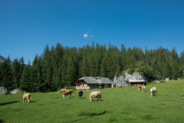 Kandersteg, schweiz — Stockfoto