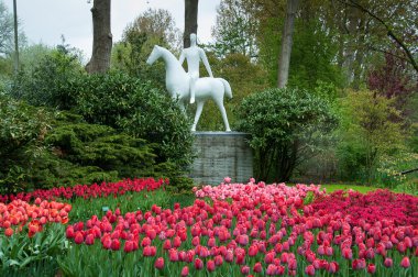 bahar bahçe içinde güzel Lale