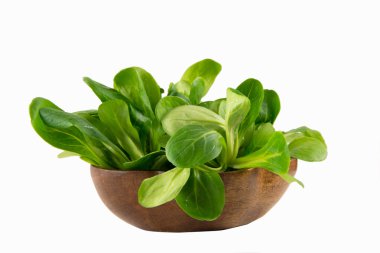 valerianella locusta, mısır salatası, kuzu 's beyaz zemin üzerine izole marul